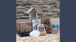 Love of Birds gift box and book